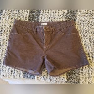 Women's Carve Designs 4" Inseam shorts